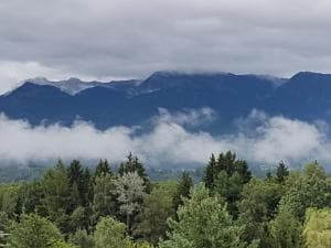 Panoramablick auf die bayerischen Alpen mit Wald und Wiese